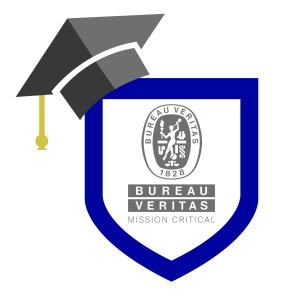 BVPI U